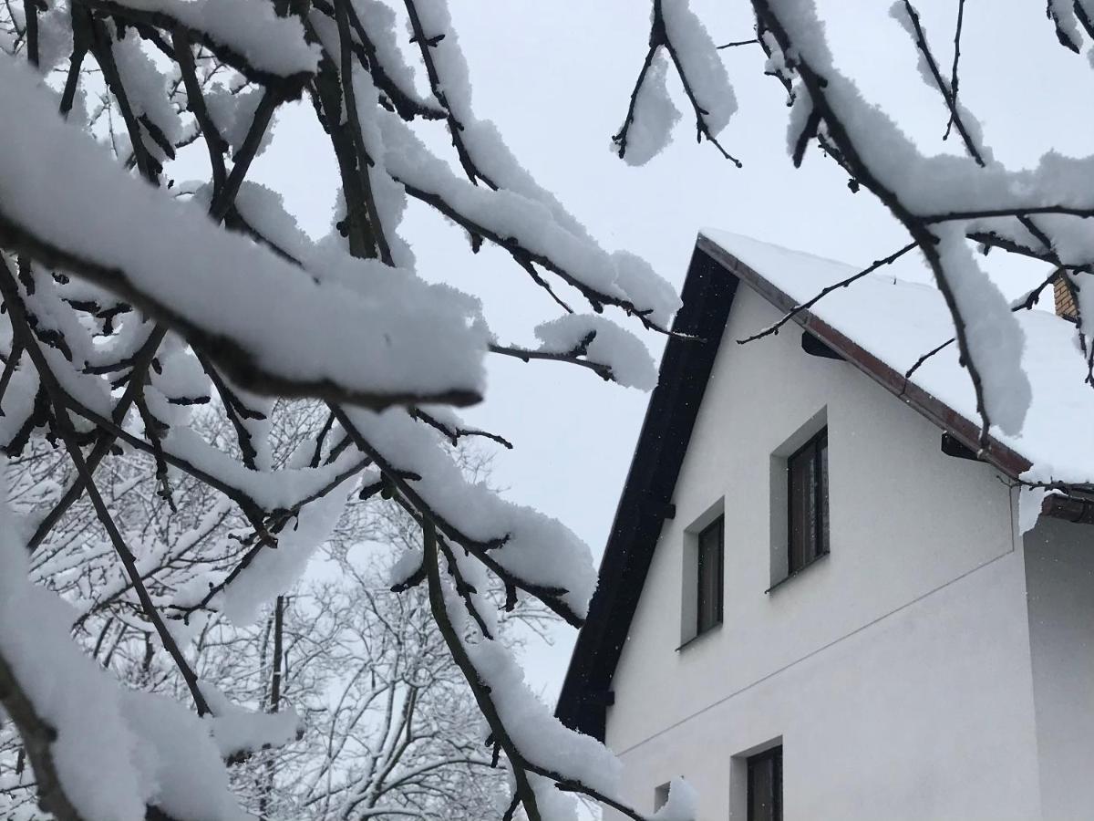 Apartmán Ivko Letohrad Exterior foto